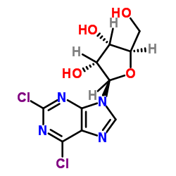 2,6-Dichloropurine-9-b-D-riboside_13276-52-3