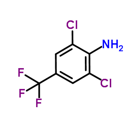 4-Amino-3,5-dichlorobenzotrifluoride_24279-39-8