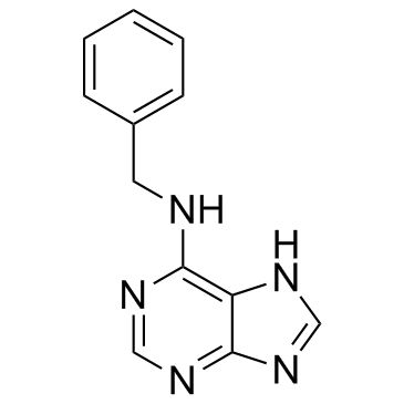 N-benzyladenine_1214-39-7