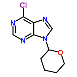 6-Chloro-9-(tetrahydropyran-2-yl)purine_7306-68-5