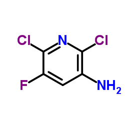 2,6-Dichloro-5-fluoropyridin-3-amine_152840-65-8