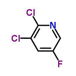 2,3-dichloro-5-fluoropyridine_185985-40-4