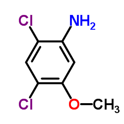 5-Amino-2,4-dichloroanisole_98446-49-2