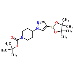 tert-Butyl 4-[4-(4,4,5,5-tetramethyl-1,3,2-dioxaborolan-2-yl)-1H-pyrazol-1-yl]piperidine-1-carboxylate_877399-74-1