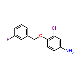 3-chloro-4-[(3-fluorophenyl)methoxy]aniline_202197-26-0