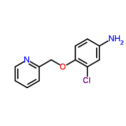 3-chloro-4-(pyridin-2-ylmethoxy)aniline_524955-09-7