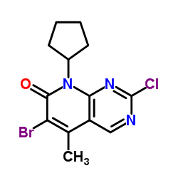6-bromo-2-chloro-8-cyclopentyl-5-methylpyrido[2,3-d]pyrimidin-7-one_1016636-76-2
