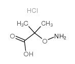 1-Carboxy-1-methylethoxyammonium chloride_89766-91-6