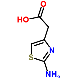 2-(2-amino-1,3-thiazol-4-yl)acetic acid_29676-71-9