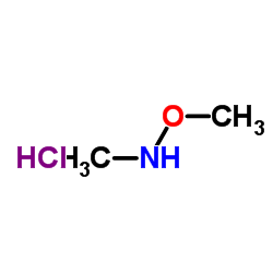 N,O-Dimethylhydroxylamine hydrochloride_6638-79-5