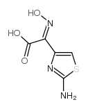 (Z)-2-(2-Aminothiazol-4-yl)-2-(hydroxyimino)acetic acid_66338-96-3