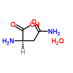 D-Asparagine Monohydrate_5794-24-1
