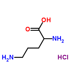 DL-Ornithine Monohydrochloride_1069-31-4