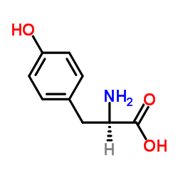 D-Tyrosine_556-02-5