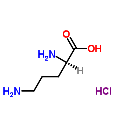 D-Ornithine Monohydrochloride_16682-12-5