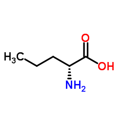 D-Norvaline_2013-12-9