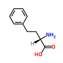 L-Homophenylalanine_943-73-7