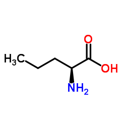 L-Norvaline_6600-40-4