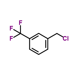 3-Chloromethyl-benzotrifluoride_705-29-3