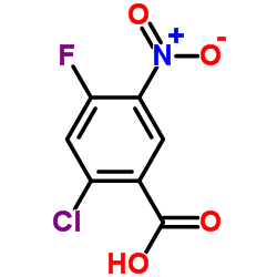 2-Chloro-4-Fluoro-5-Nitrobenzoic Acid_114776-15-7