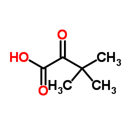 Trimethylpyruvic acid_815-17-8