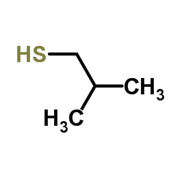 Isobutylmercaptan_513-44-0