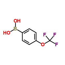 4-Trifluoromethoxyphenylboronic acid_139301-27-2