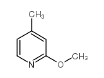 2-Methoxy-4-methylpyridine_100848-70-2