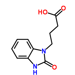 4-(2-oxo-3H-benzimidazol-1-yl)butanoic acid_3273-68-5