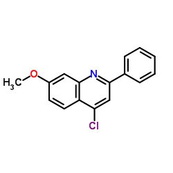 4-Chloro-7-methoxy-2-phenylquinoline_189816-05-5