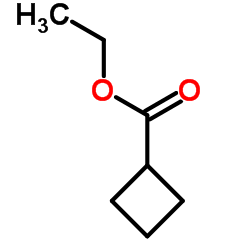 Ethyl Cyclobutanecarboxylate_14924-53-9