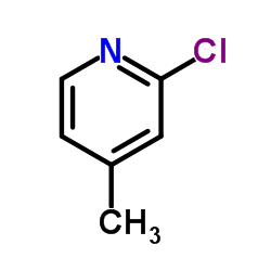 2-Chloro-4-picoline_3678-62-4