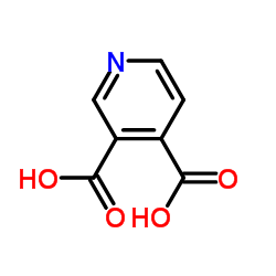 cinchomeronic acid_490-11-9