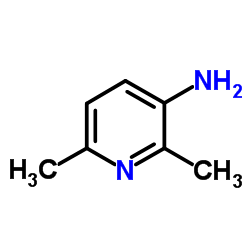 2,6-dimethylpyridin-3-amine_3430-33-9