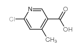 6-Chloro-4-methyl-3-pyridinecarboxylic acid_503555-50-8