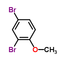 2,4-dibromo-1-methoxybenzene_21702-84-1