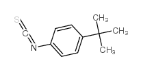 4-tert-Butylphenyl isothiocyanate_19241-24-8