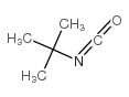 tert-Butylisocyanate_1609-86-5