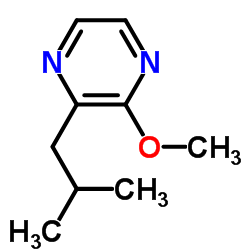 2-Methoxy-3-isobutyl pyrazine_24683-00-9