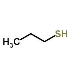 propane-1-thiol_107-03-9