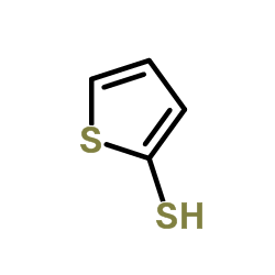 2-Thiophenethiol_7774-74-5