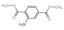 Dimethyl aminoterephthalate_5372-81-6