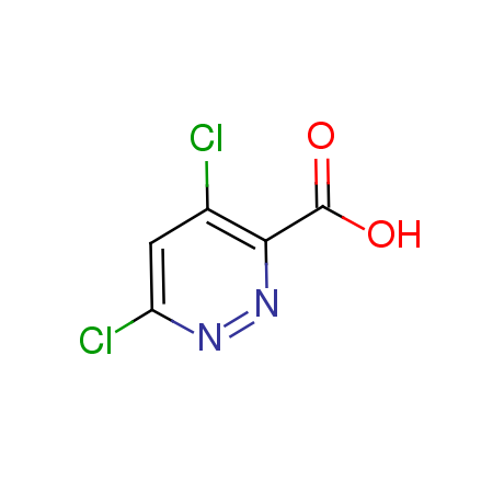 4,6-dichloropyridazine-3-carboxylic acid_1040246-87-4