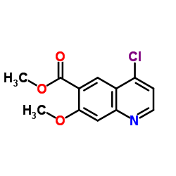 6-Quinolinecarboxylic acid, 4-chloro-7-methoxy-, methyl ester_205448-66-4