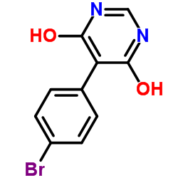 5-(4-bromophenyl)pyrimidine-4,6-diol_706811-25-8