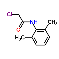 N-(2,6-Dimethylphenyl)chloroacetamide_1131-01-7
