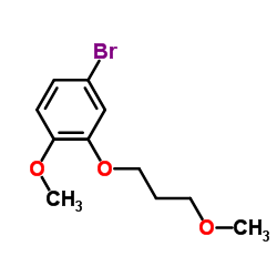 4-Bromo-1-methoxy-2-(3-methoxypropoxy)benzene_173336-76-0