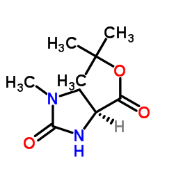 tert-butyl (4S)-1-methyl-2-oxoimidazolidine-4-carboxylate_83056-79-5