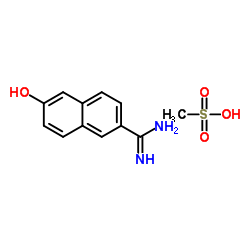 6-Hydroxy-2-naphthimidamide methanesulfonate salt_82957-06-0