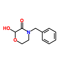 4-benzyl-2-hydroxymorpholin-3-one manufacturer